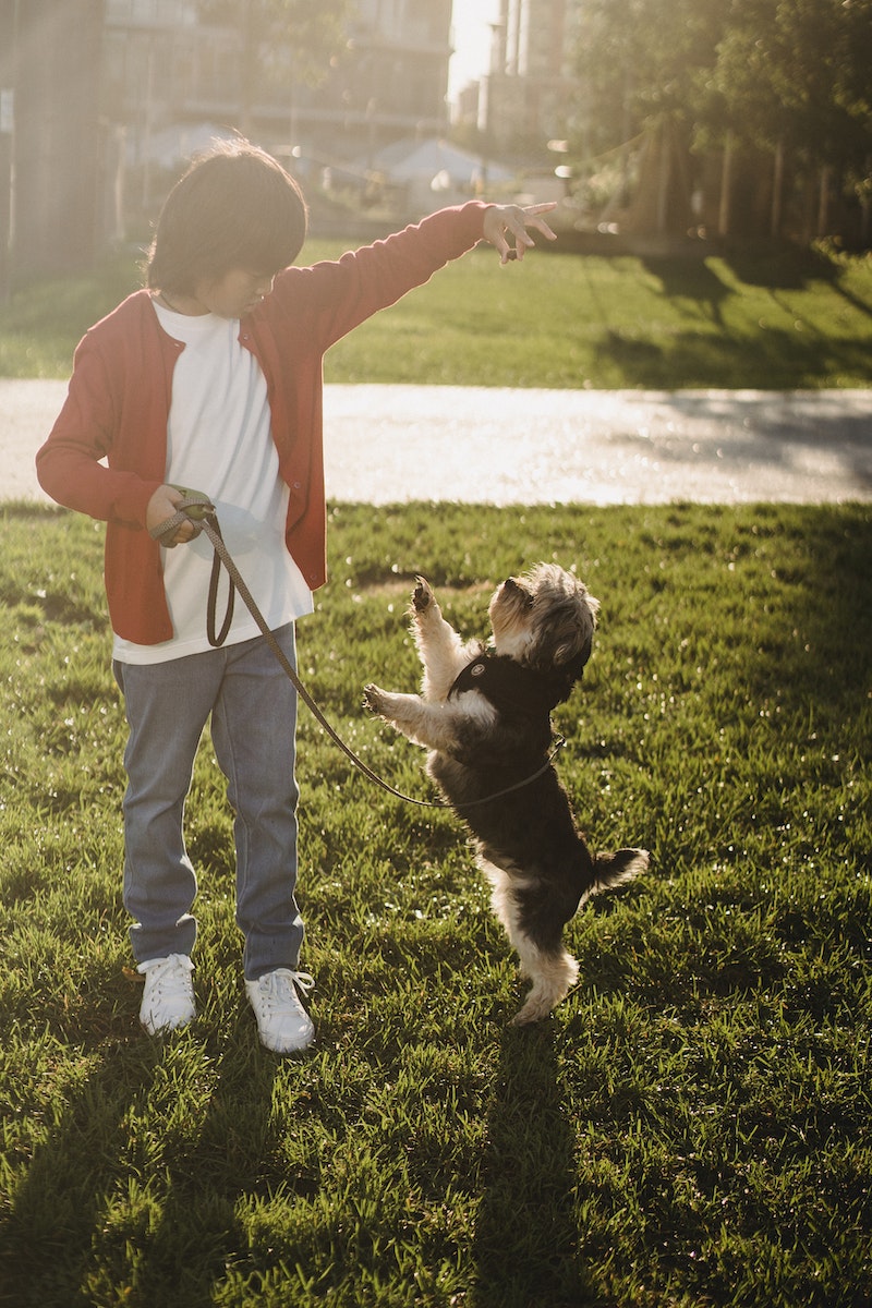 Anonymous Asian kid showing command to dog while training outdoors