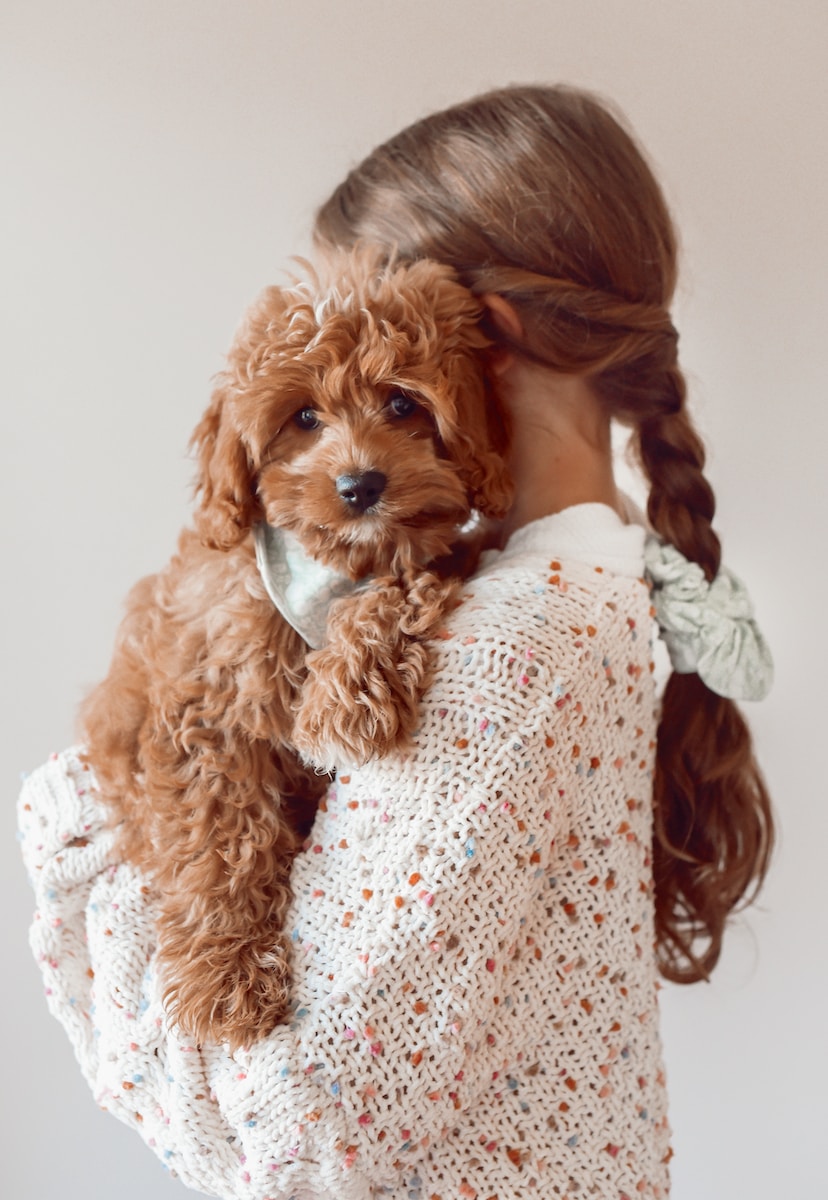 a little girl holding a brown dog in her arms