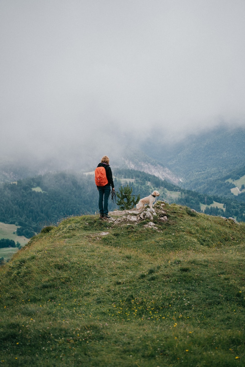 a person standing on top of a hill with a doodle dog