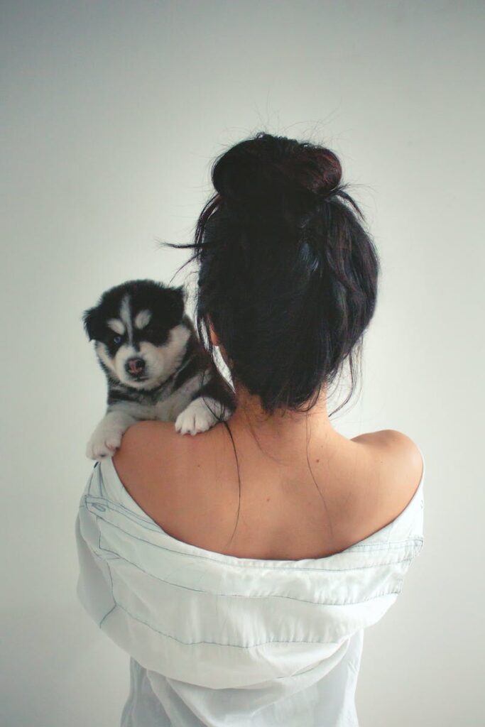 A Person Holding a Siberian Puppy