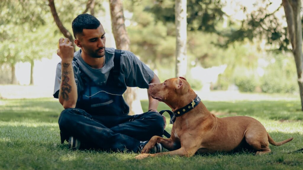 a man sitting in the grass with a dog