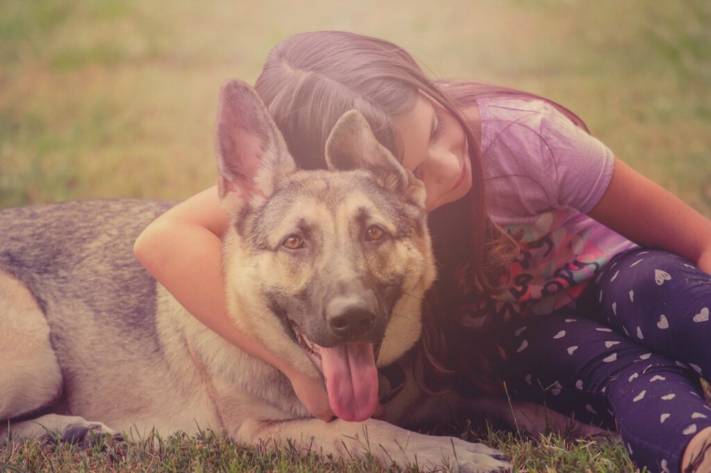 German Shepherd Puppy