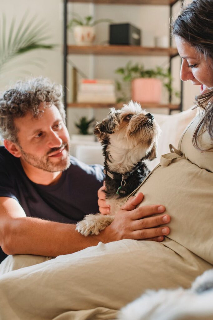 how to potty train a puppy in an apartment