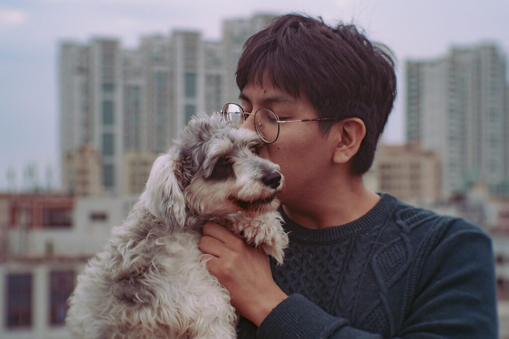 woman in blue knit sweater holding white long coated dog